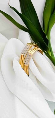 compressed_image (24)