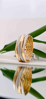 compressed_image (27)