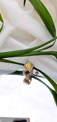 compressed_image (29)