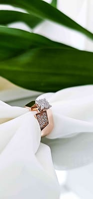 compressed_image (30)